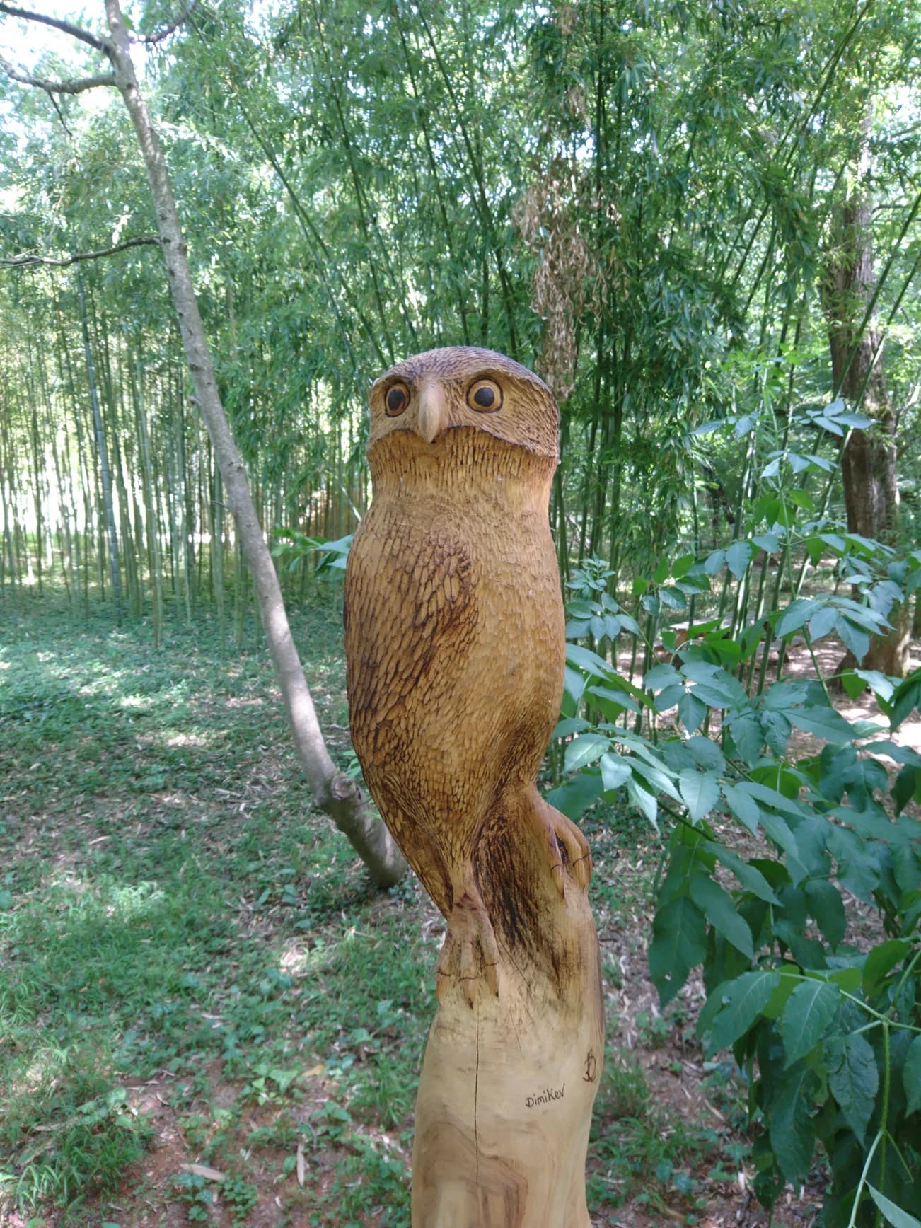 Sculpture bois chouette ! n°1