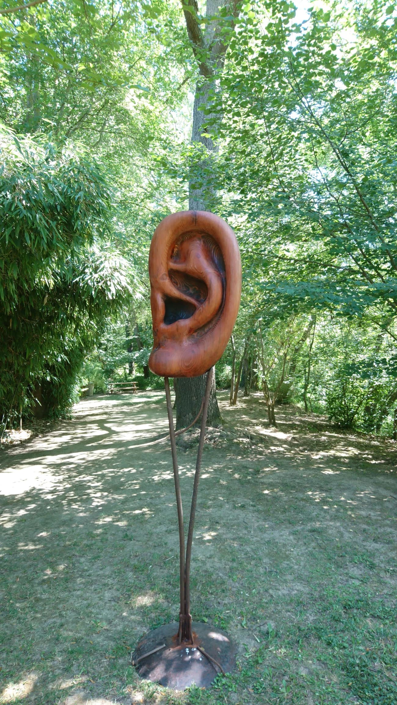 Sculpture bois ecoute ! n°1
