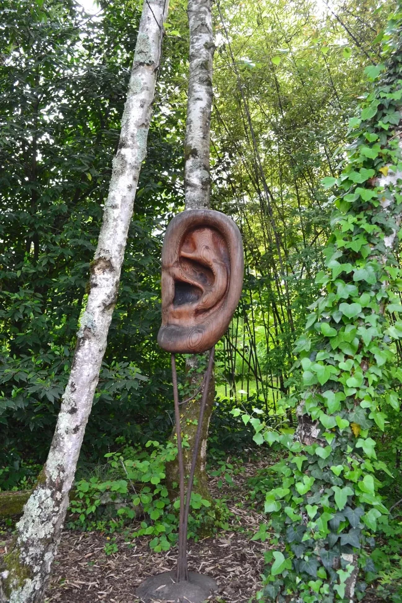 Sculpture bois ecoute ! n°2