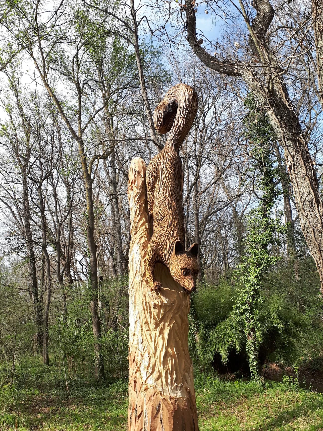 Sculpture bois genette n°1
