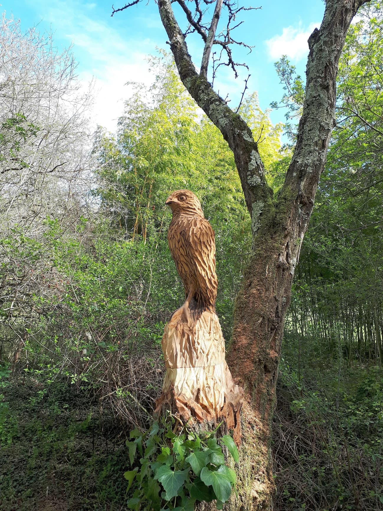 Sculpture bois epervier n°2
